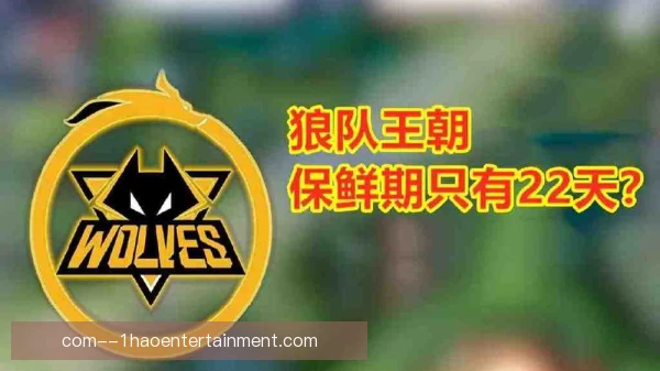 狼队球迷代际传承，看台文化在血脉中延续